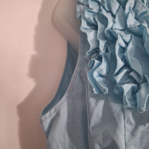 Debbie Shuchat Womens Victorian Sleeveless Blouse Ruffle Empire Coquette Size 12 - Picture 4 of 11